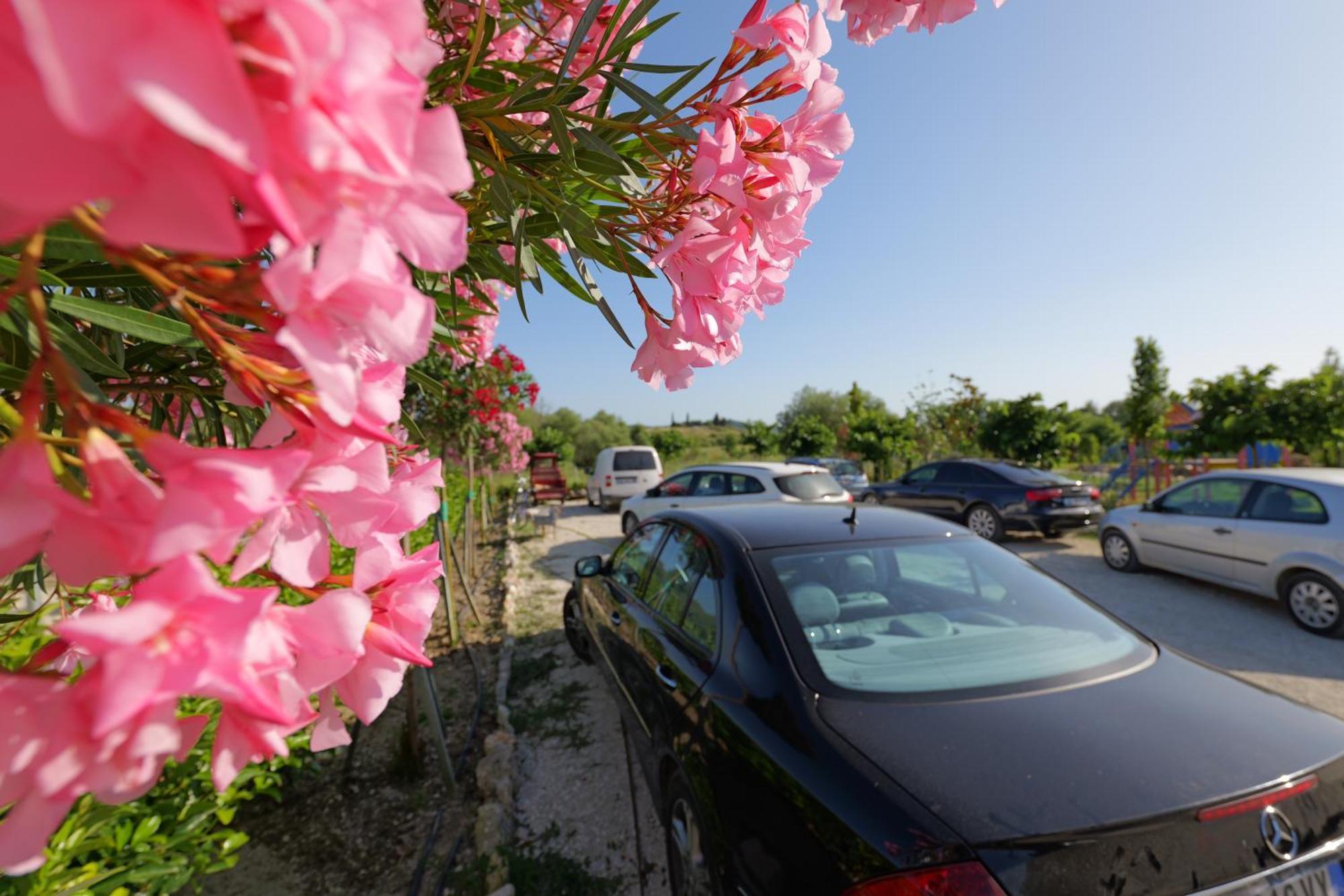 Mesopotam Agrotourism Resort Sarande Bagian luar foto