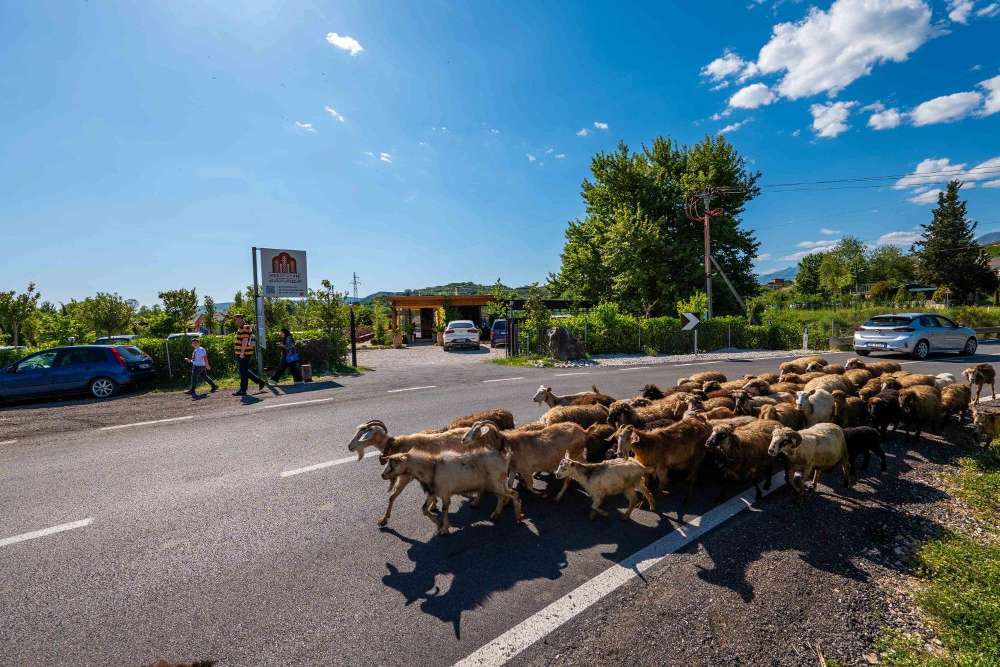 Mesopotam Agrotourism Resort Sarande Bagian luar foto